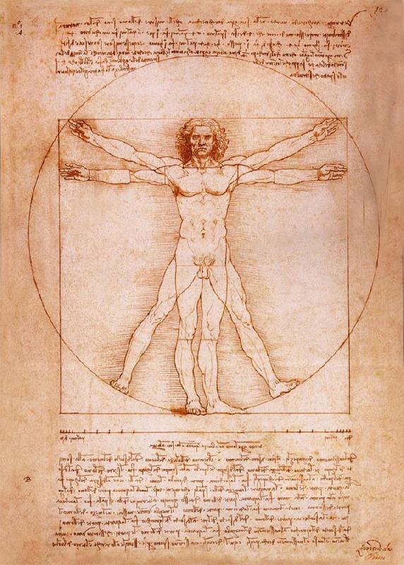 LEONARDO da Vinci Rule fur the proportion of the human figure oil painting picture
